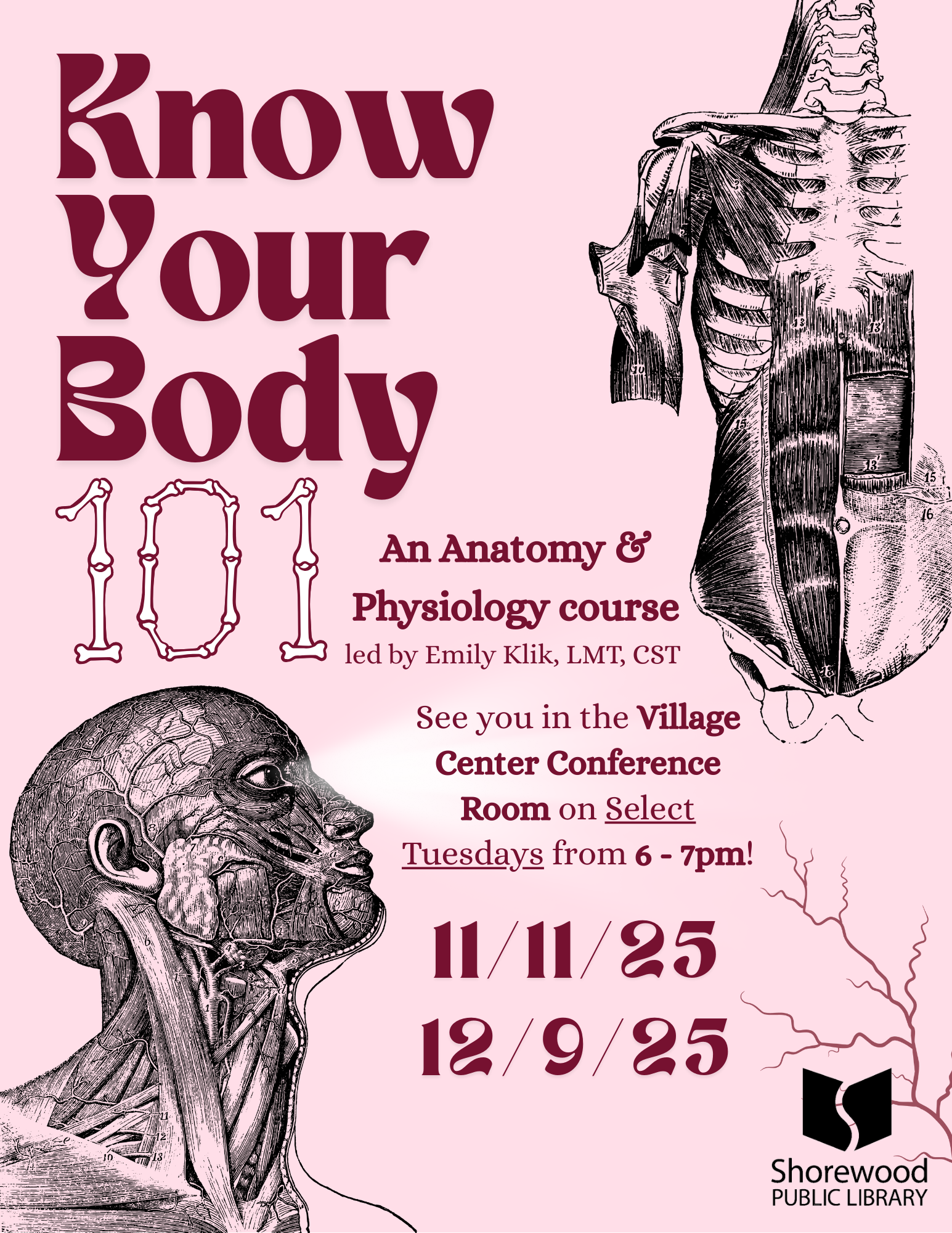 Know Your Body 101