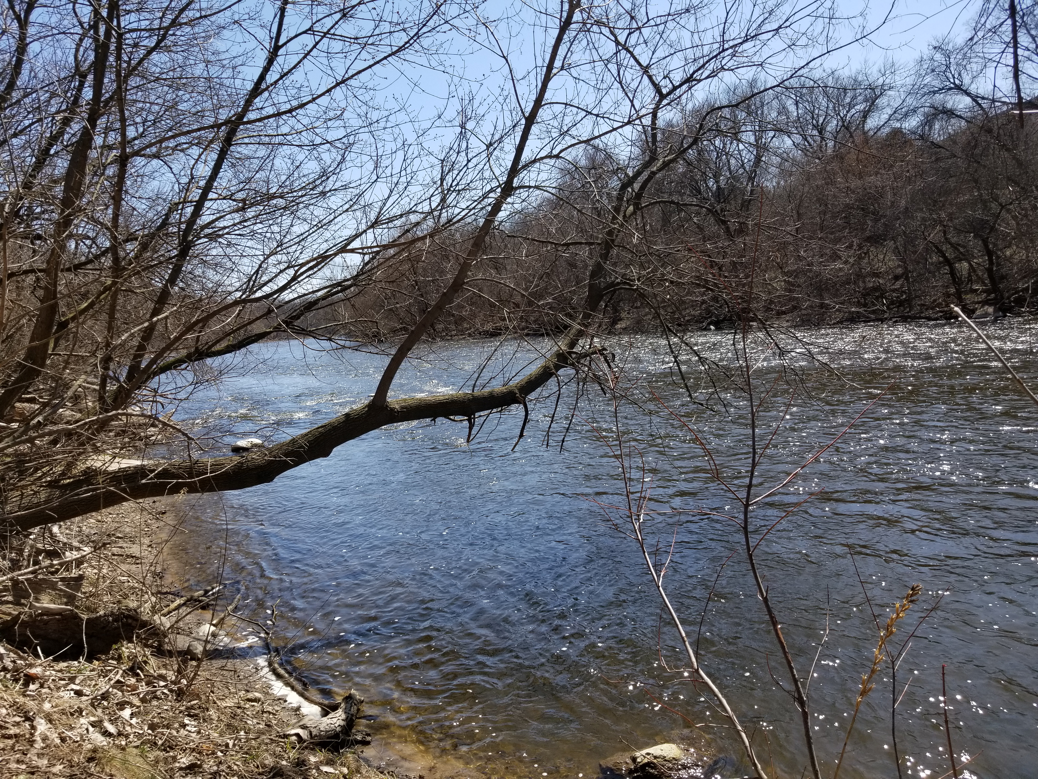 Walk on the Wild Side . . . In Shorewood